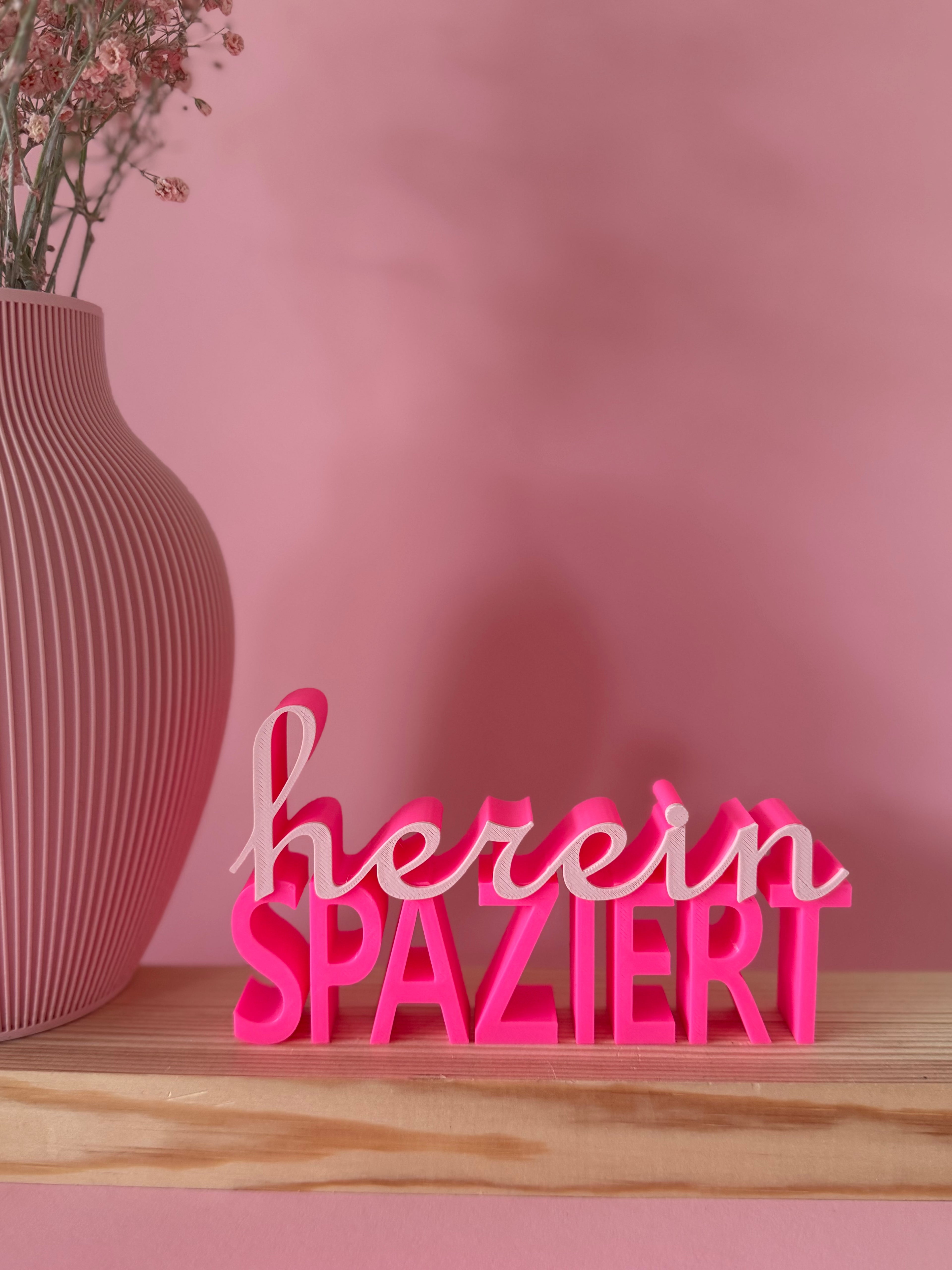 HEREINSPAZIERT STATEMENT