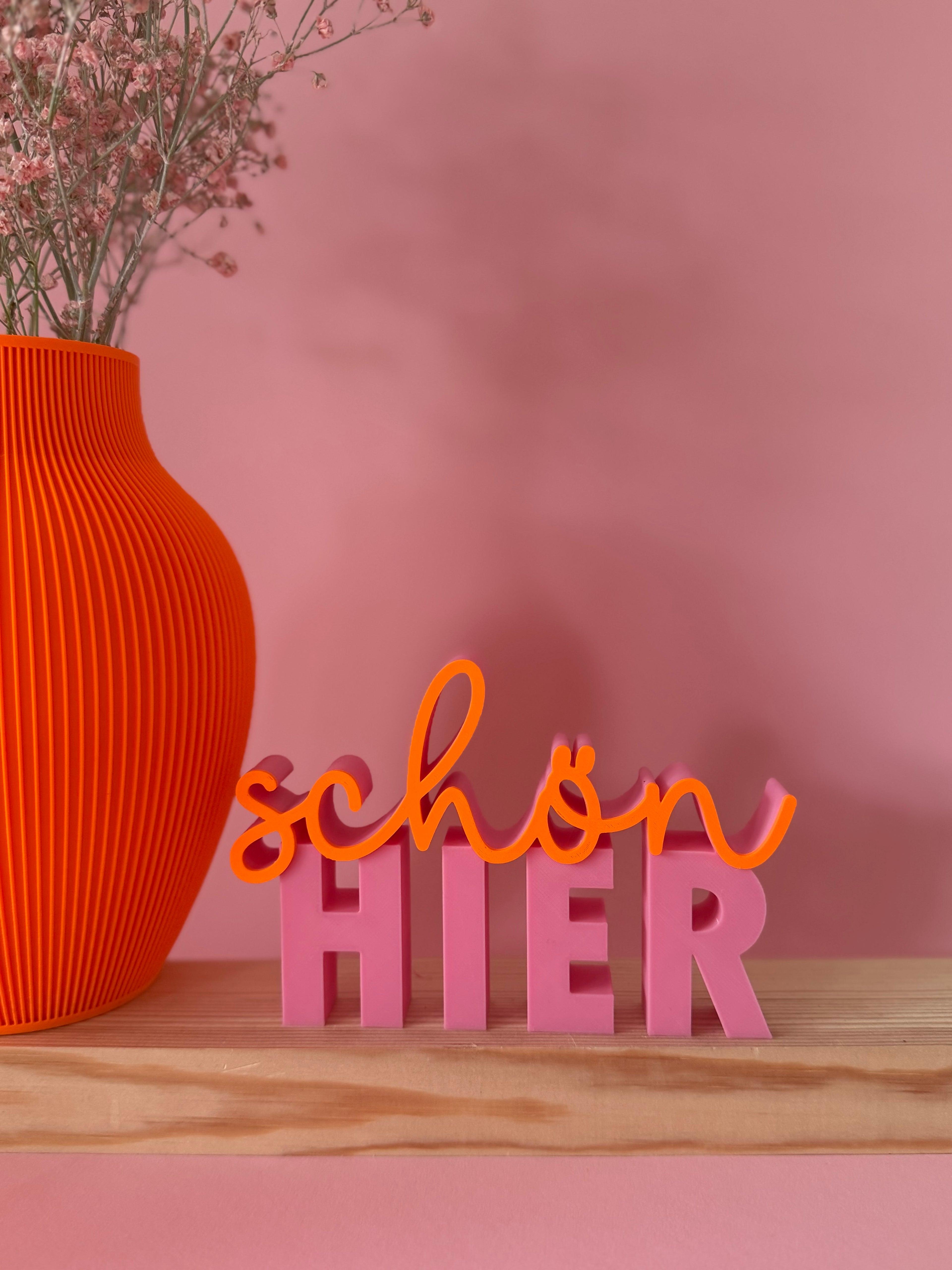 SCHÖN HIER STATEMENT