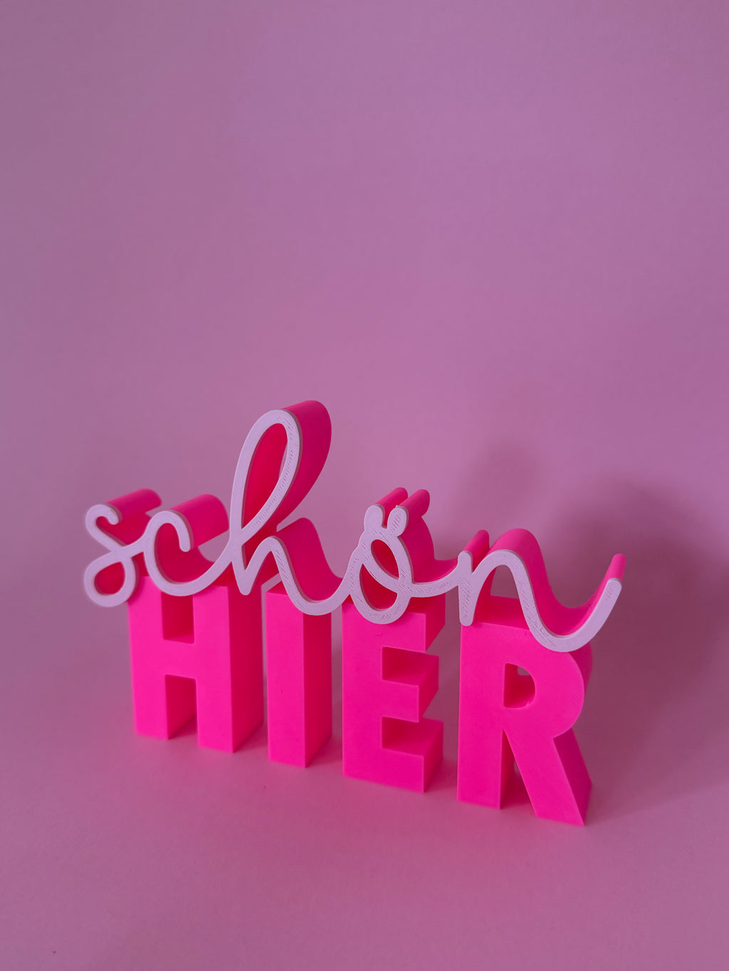 SCHÖN HIER STATEMENT
