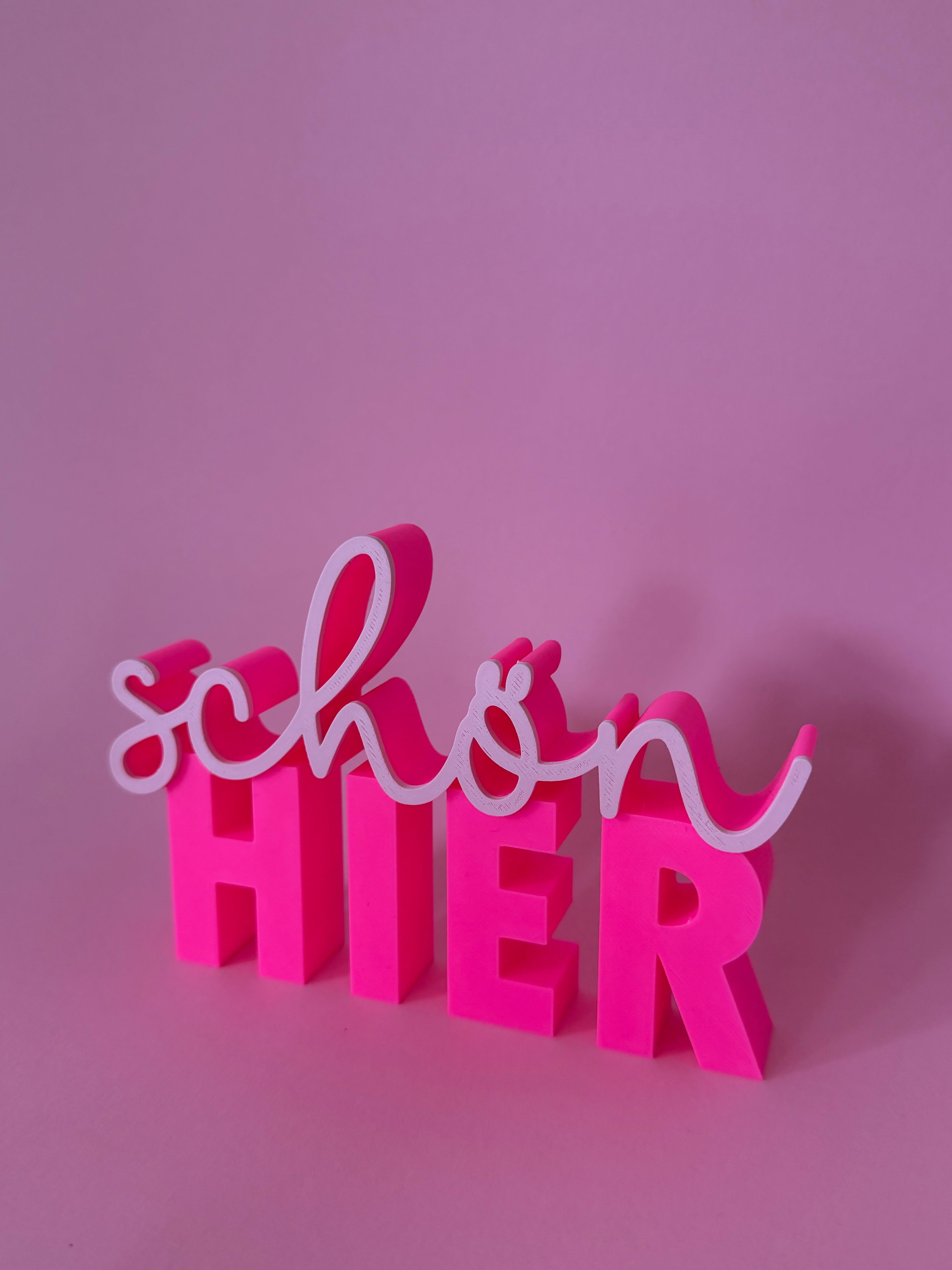 SCHÖN HIER STATEMENT